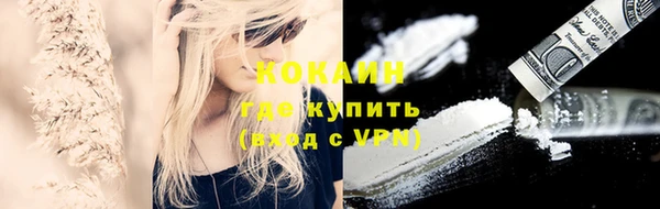 винт Абаза