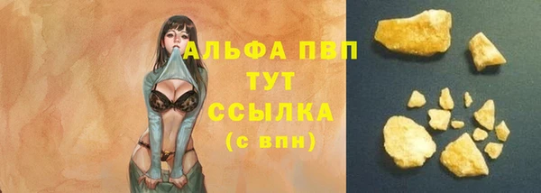 винт Абаза