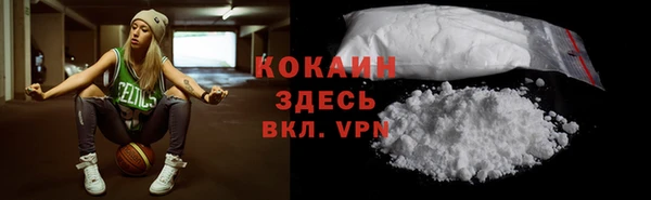 винт Абаза