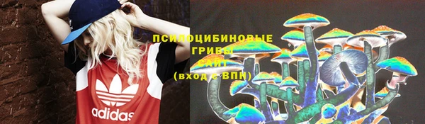 винт Абаза
